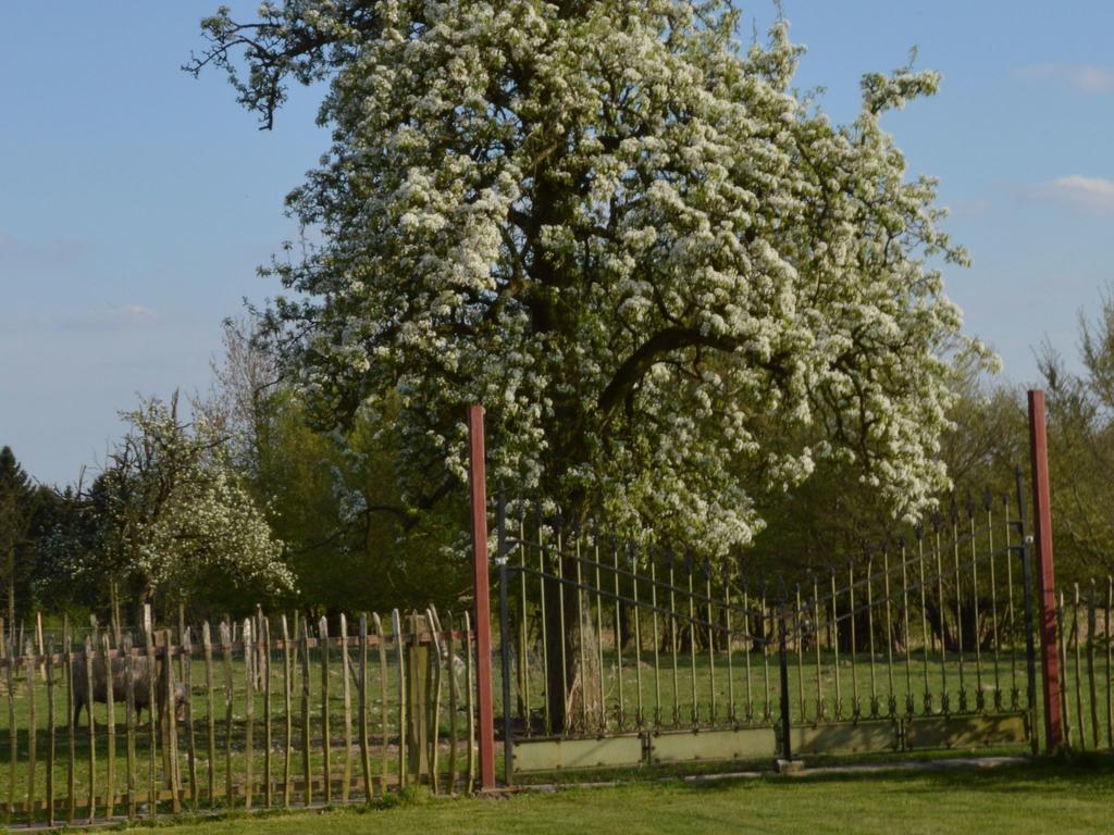 With A Broad View Over The Hilly Landscape Flobecq Exterior photo